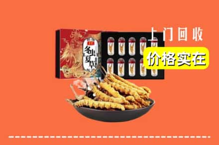 海南省保亭县回收冬虫夏草